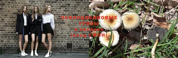 ешки Мегион