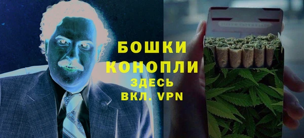 стафф Ельня