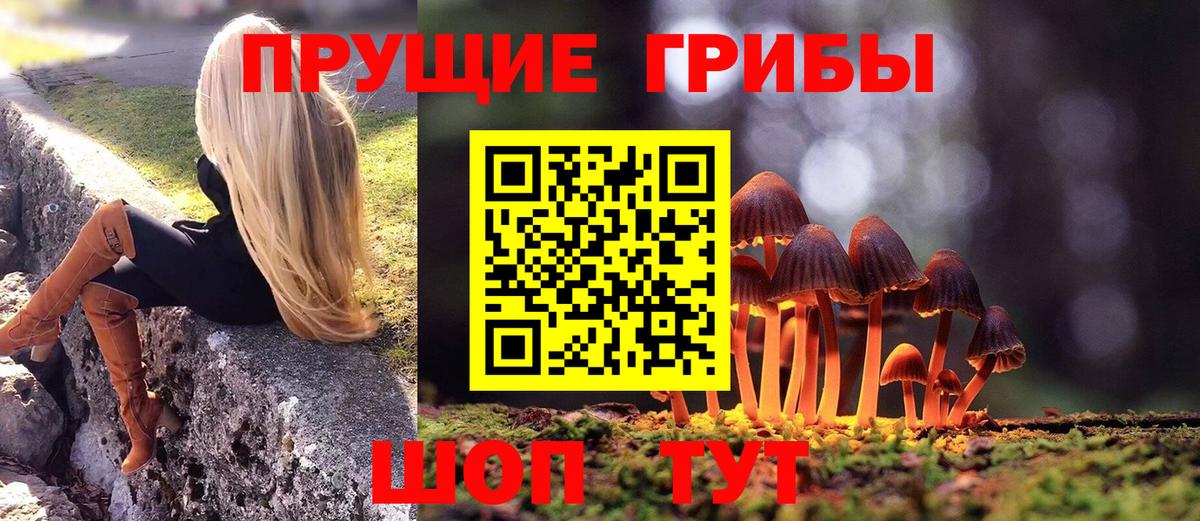 Псилоцибиновые грибы Magic Shrooms Нурлат